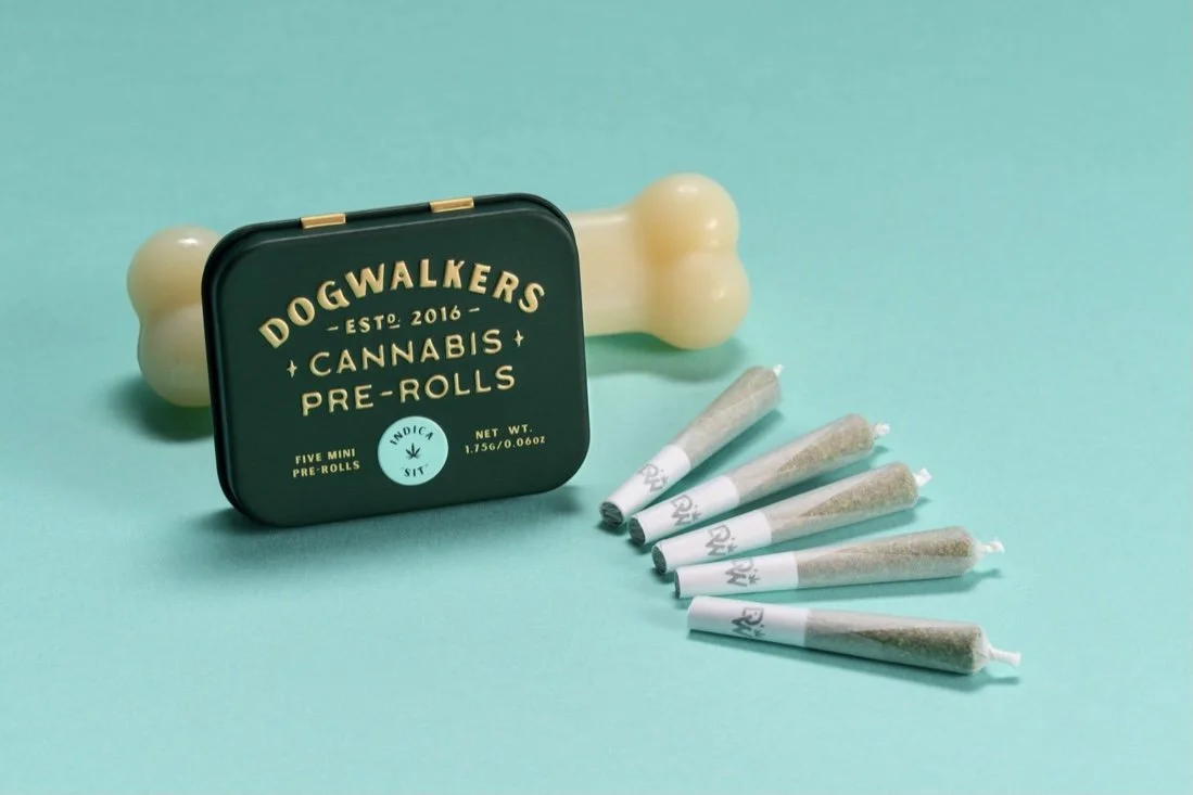 Dogwalkers social asset