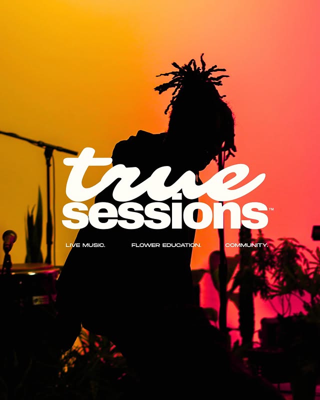 True Sessions launch post — silhouetted performer on a golden-to-coral gradient