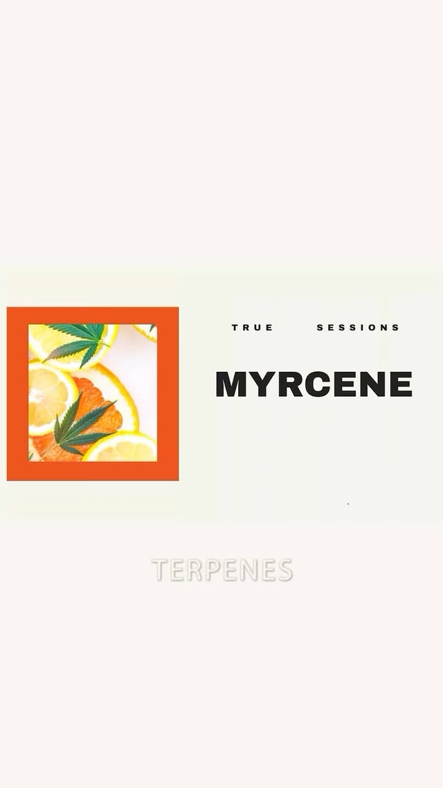 Terpene quiz reel — best answer wins tickets to the next session